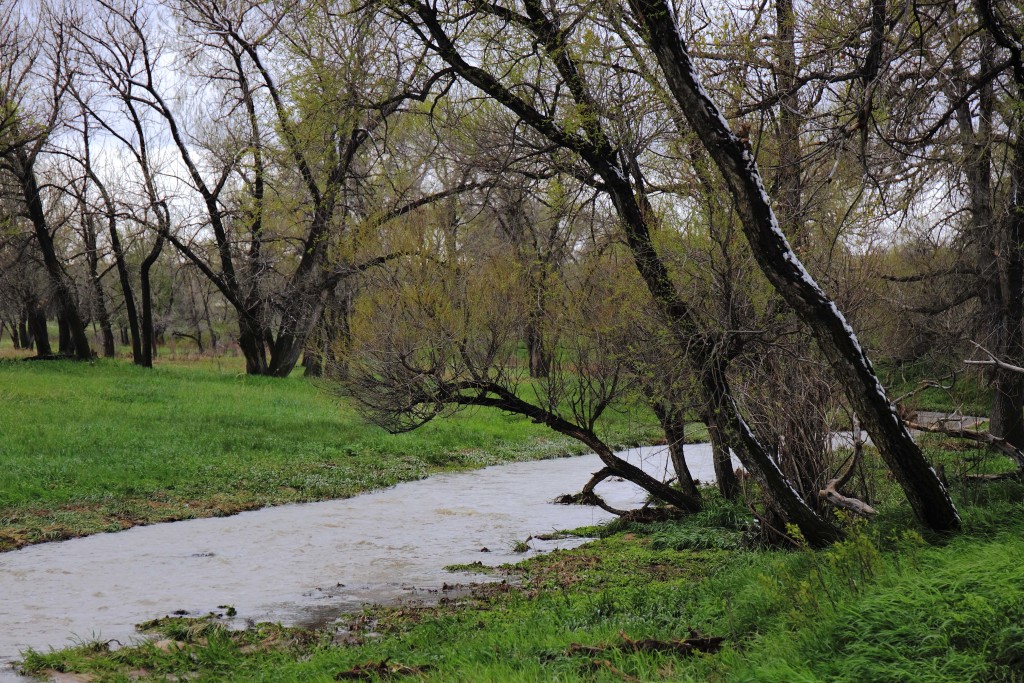 Comanche Creek