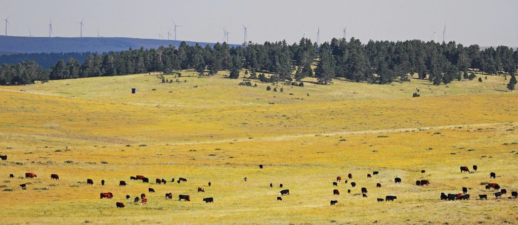 The cows, about a mile away, the tree line 2-3 miles, the windmills 20-25 miles.