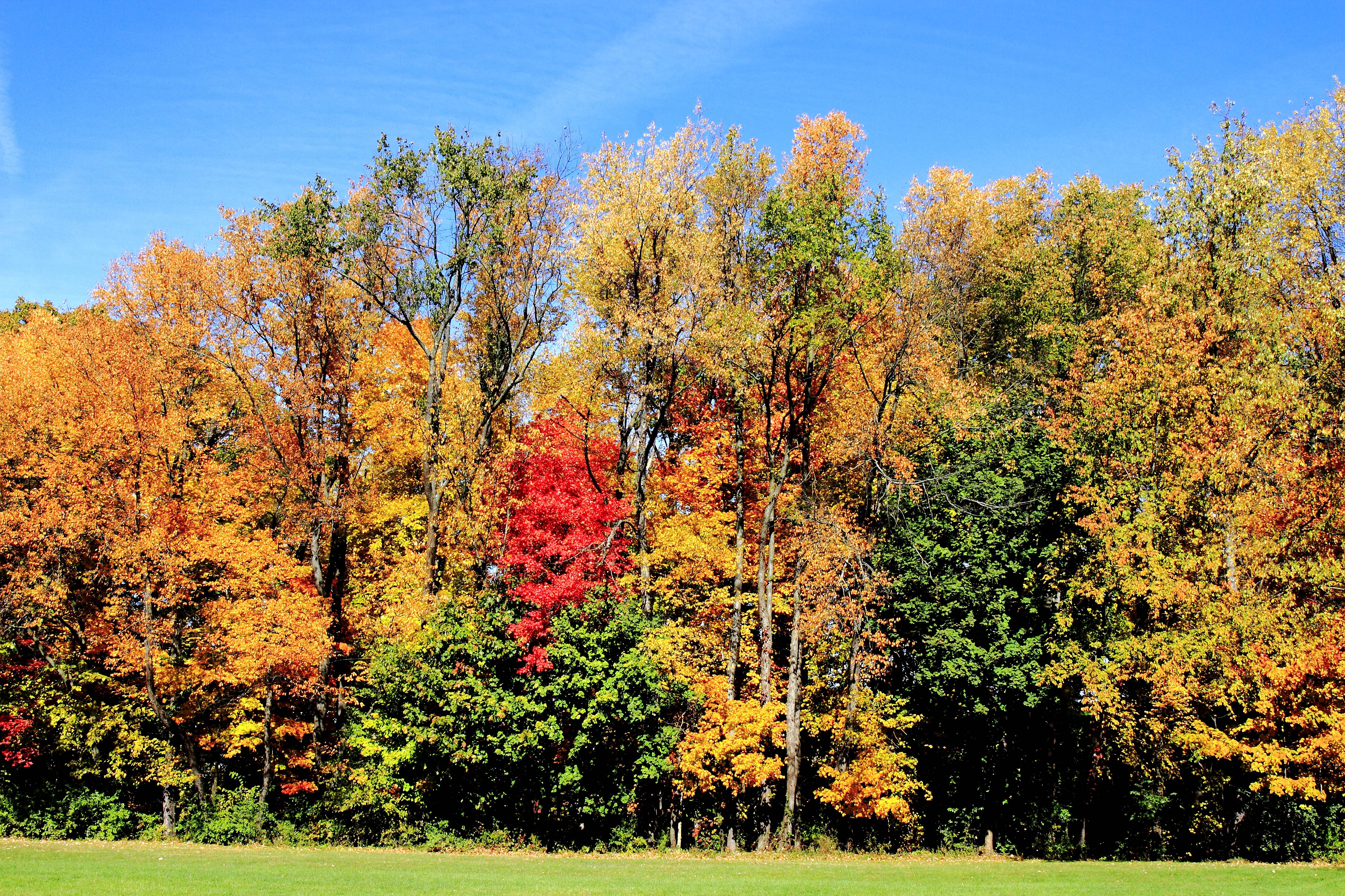 I think Fall’s peaked here in Akron – Elbert County Forum